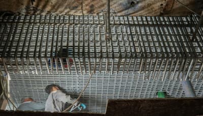 Image-Gallery image 3